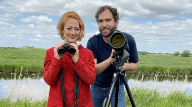 Oiseaux en danger : Comment lutter contre leur disparition ?