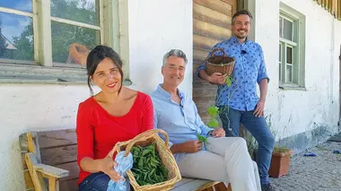 Récolter autrement : Les techniques traditionnelles