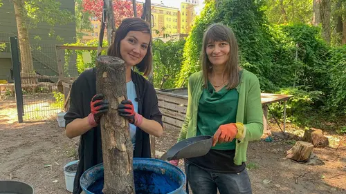 X:enius Stocker le CO2 : comment capter ce gaz à effet de serre