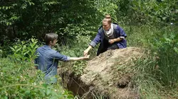 X:enius Chêne en danger