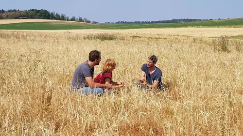 X:enius Les lentilles