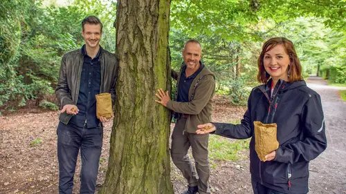 X:enius Les écureuils