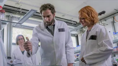 Le sucre : Une douce menace