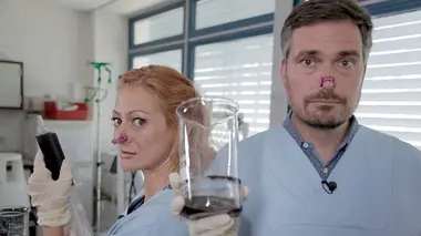 Le microbiote intestinal, un atout pour notre santé