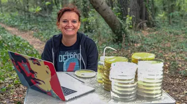 Le blob : Quand l'intelligence se passe de cerveau