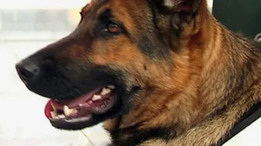 Criminologie : quand la science se fait détective