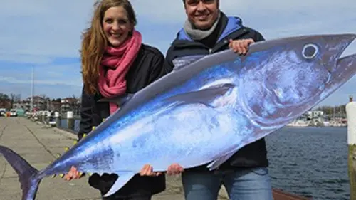 X:enius Comment lutter contre la surpêche ?