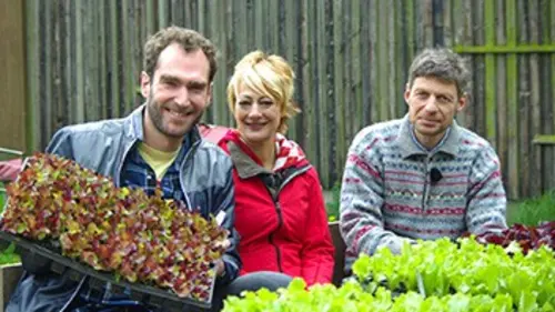 X:enius Semences agricoles : comment préserver la biodiversité ?