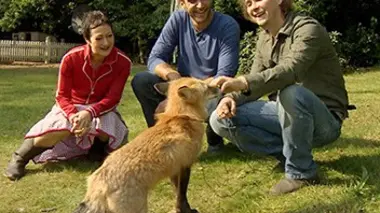 Peut-on apprivoiser les animaux sauvages ?