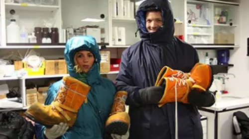 X:enius Comment bien congeler les aliments ?