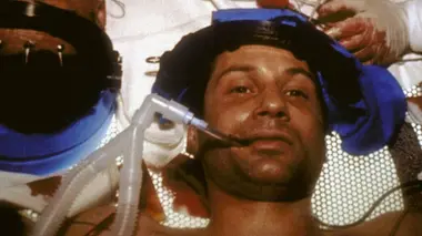 La sixième extinction