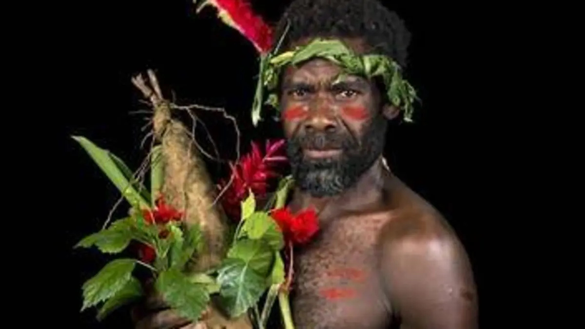 Yam, quand l'igname raconte les hommes