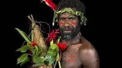 Visuel de Yam, quand l'igname raconte les hommes