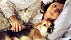 Year of the Dog en streaming