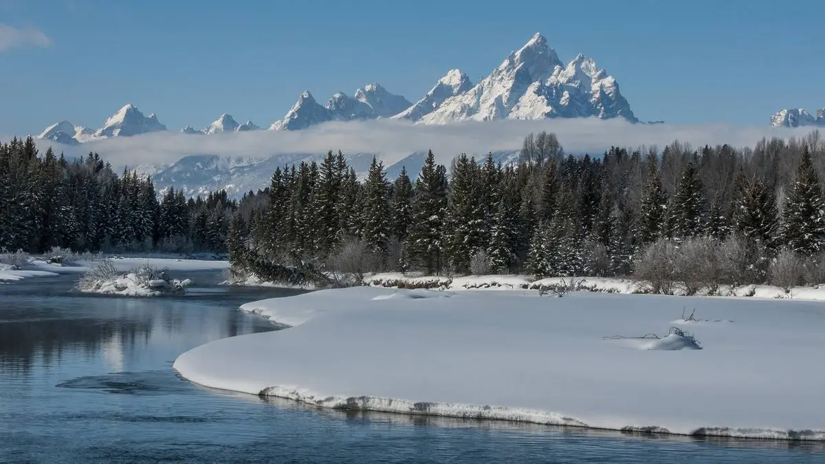 Yellowstone Les rigueurs de l'hiver