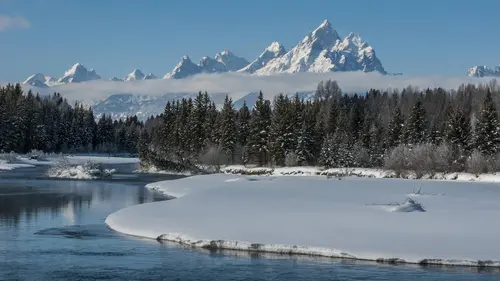 Yellowstone Les rigueurs de l'hiver