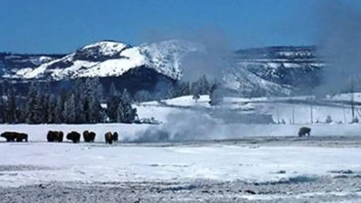 Yellowstone, le feu et la glace
