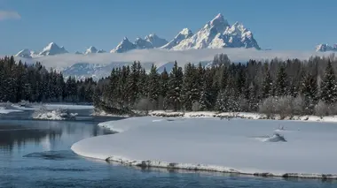 Yellowstone Les rigueurs de l'hiver
