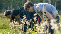 Yukon, Canada : le sol souverain