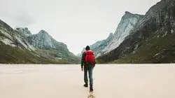 Zak et les insectibles S01E46 Sid le facteur