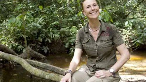 Zamba, le royaume des bonobos