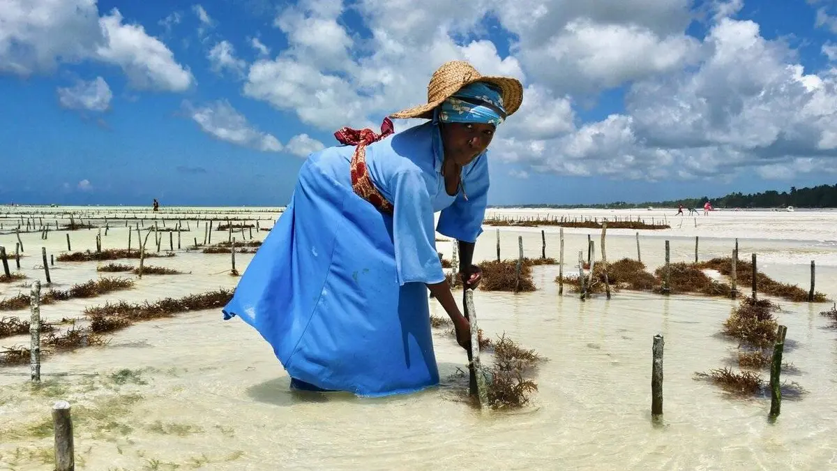 Zanzibar au féminin