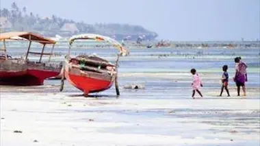 Zanzibar, une île paradisiaque