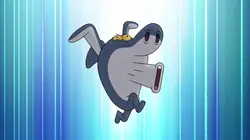 Zig & Sharko S04E50 Kung Fu Bernie