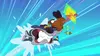 Zig & Sharko