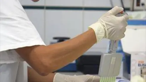 Zika en Polynésie, les prémices d'une pandémie