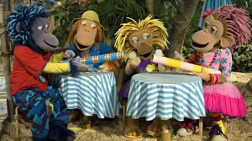 ZingZillas Le grand rangement