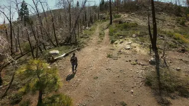 Zodiac : l'obsession