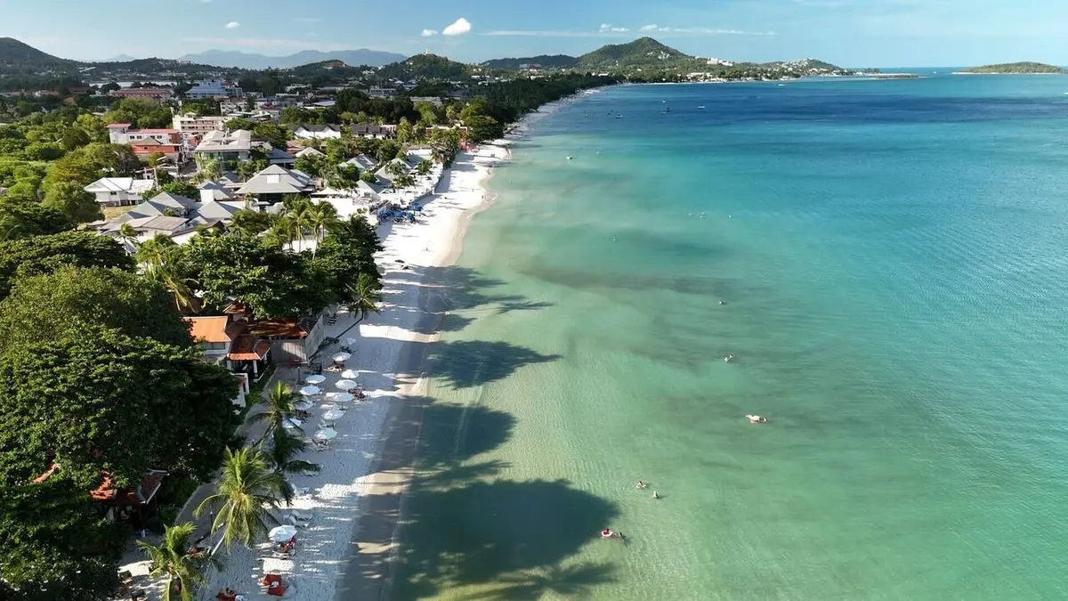 Zone interdite Tout plaquer pour une île paradisiaque : rêve ou folie ?