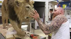 Zone interdite Les secrets du zoo le plus incroyable de France