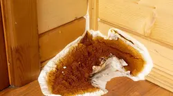 Zone interdite Ma très chère maison : de la galère au rêve