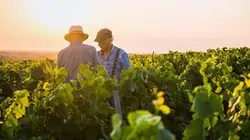 Zone interdite Château, maison, moulin : en famille, ils rénovent des trésors oubliés