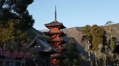 Zone interdite Japon : dans les secrets d'un pays qui nous fascine