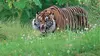Zoo de Pal : dans les coulisses du zoo le plus étonnant de France