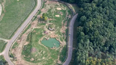 Zoo de Thoiry : sanctuaire de la faune sauvage