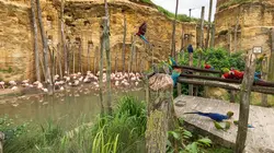 Zoo : le défi de demain Vague de froid