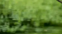 Zoo : le défi de demain