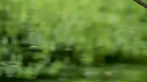 Zoo : le défi de demain