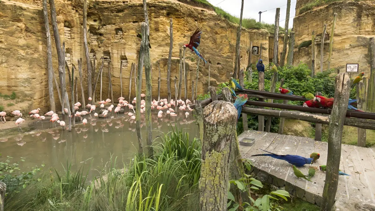 Zoo : le défi de demain Vague de froid