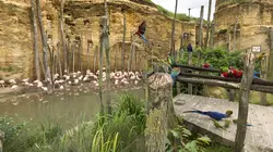 Visuel de Zoo : le défi de demain