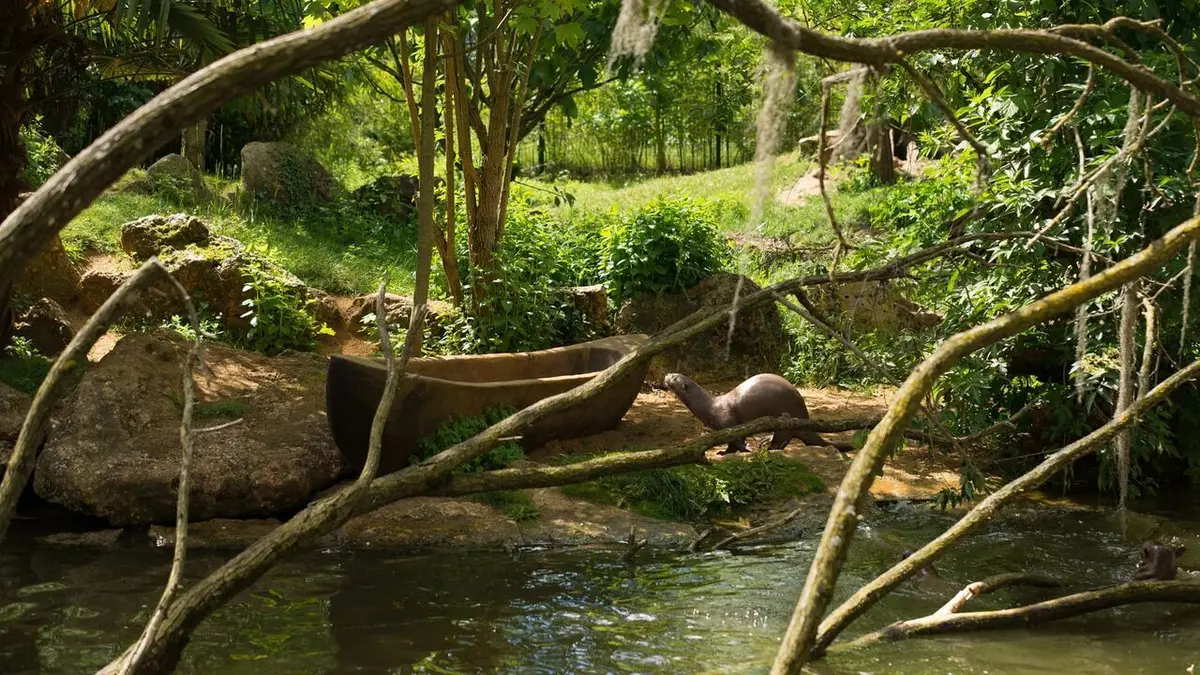 Visuel de Zoo : le défi de demain Le compte à rebours est lancé