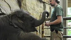 Visuel de Zoo nursery Berlin