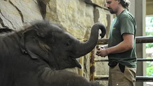 Zoo nursery Berlin S02E03