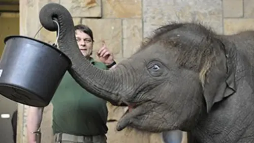 Zoo nursery Berlin S02E08