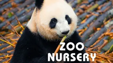 Zoo nursery Berlin