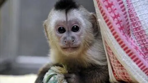 Zoo nursery Berlin S03E02